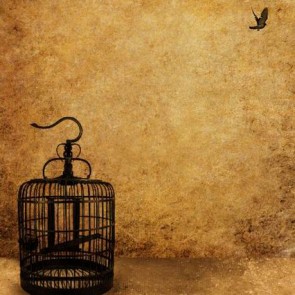 Grunge Dilapidated Photography Background Birdcage Bird Brown Backdrops