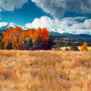 Oil Painting Photography Background Prairie Snow Mountain White Clouds Autumn Backdrops