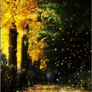 Photography Background Trees Autumn Defoliation Oil Painting Backdrops