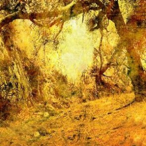 Oil Painting Photography Background Jungle Sunshine Autumn Backdrops