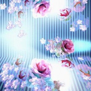 Flowers Photography Backdrops Pink Rose Flower Sky Blue Lines Background