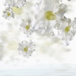 Flowers Photography Backdrops White Flowers Background