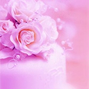 Flowers Photography Backdrops Pink Rose Flower Background