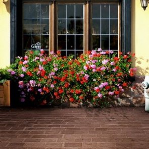 Door Window Photography Backdrops Brown Window Flowers Brick Floor Background