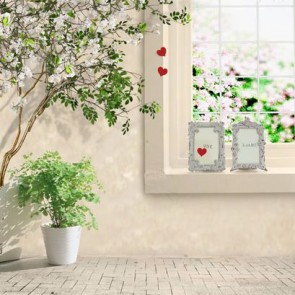 Door Window Photography Backdrops White Wall Window White Flower Background