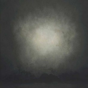 Photography Backdrops Black And White Mist Old Master Background