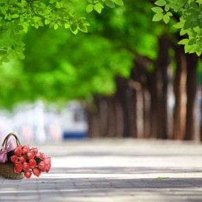 Photography Background Green Leaves Trees Pink Rose Flower Tourist Backdrops