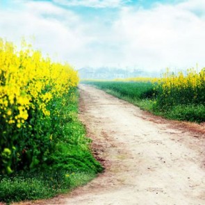 Nature Photography Backdrops Rapeseed Blue Sky White Clouds Background