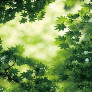 Nature Photography Backdrops Green Maple Leaves Background For Photo Studio