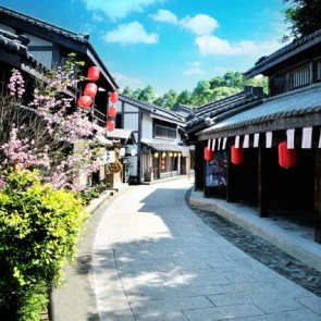 Photography Background Flowers Blue Sky Japan Alley Street View Backdrops