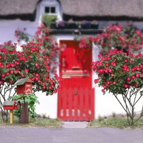 Door Window Photography Backdrops Red Door White Wall Red Flowers Background