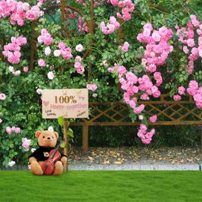 Nature Photography Backdrops Pink Rose Flower Lawn Background