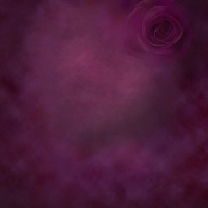 Photography Backdrops Fuchsia Rose Old Master Background Photo Studio