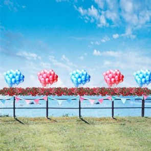 Valentine's Day Photography Background Balloon Blue Sky Flowers Backdrops