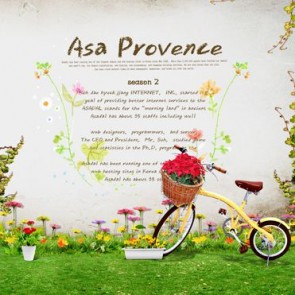 Valentine's Day Photography Background Asa Provence White Wall Bike Flowers Backdrops