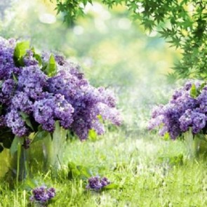 Flowers Photography Background Purple Flowers Lavender Backdrops