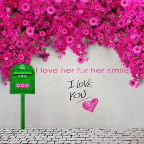 Valentine's Day Photography Background Pink Flowers Green Mailbox White Wall Backdrops