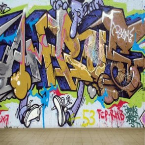 Graffiti Photography Backdrops Wizard Background For Photo Studio