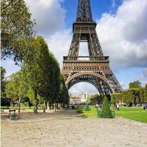 Photography Background Eiffel Tower Blue Sky Trees Tourist Backdrops