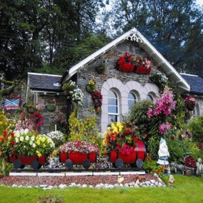 Street View Photography Background Flower Winery Backdrops