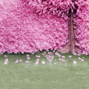 Flowers Photography Background Pink Cherry Blossom Tree Backdrops