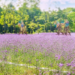 Tourist Photography Background Windmill Purple Flowers Backdrops