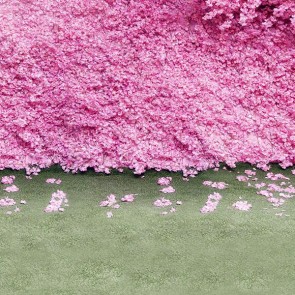 Flowers Photography Background Pink Flowers Flower Wall Backdrops