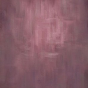 Photography Backdrops Pink Hazy Printing Old Master Background