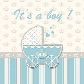 Baby Shower Backdrops | Baby Shower Backgrounds - Raybackdrop.com