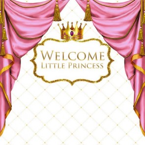 Baby Shower Photography Backdrops Welcome Little Princess Pink Curtain Background