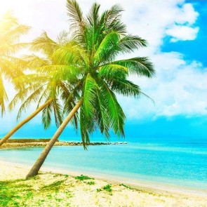 Beach Photography Backdrops Blue Sky White Clouds Sunshine Coconut Tree Background
