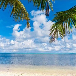 Beach Photography Backdrops Blue Sky White Clouds Coconut Tree Leaves Background