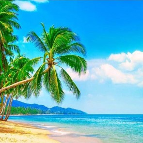Beach Photography Backdrops Blue Sky Coconut Tree Background