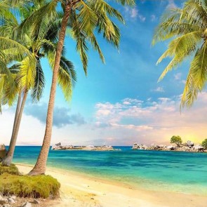 Beach Photography Backdrops Blue Sky Coconut Tree White Clouds Background