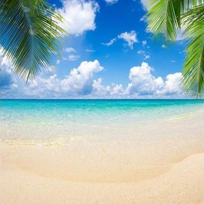 Beach Photography Backdrops Blue Sky Coconut Tree Leaves Background