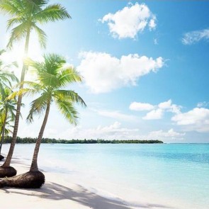 Beach Photography Backdrops Coconut Tree Blue Sky Background