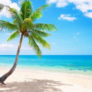 Beach Photography Backdrops White Clouds Blue Sky Coconut Tree Background