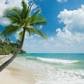 Beach Photography Backdrops Blue Sky White Clouds Shore Background