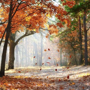 Nature Photography Backdrops Autumn Jungle Maple Leaf Background