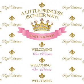 Baby Shower Photography Backdrops Little Princess Background For Newborn