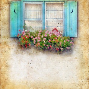 Door Window Photography Backdrops Blue Window Flowers Lime White Wall Background