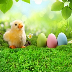 Easter Photography Background Little Yellow Duck Easter Eggs Green Lawn Leaves Backdrops