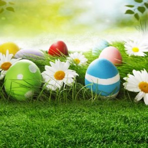 Easter Photography Background White Flower Lawn Easter Eggs Backdrops