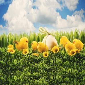 Photography Backdrops Yellow Duck Blue Sky White Clouds Eggs Easter Background
