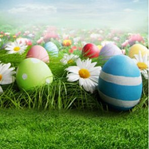 Photography Backdrops White Cloud Eggs Easter White Flowers Lawn Background