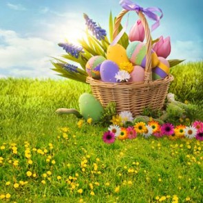 Photography Backdrops Flowers Eggs Grass Easter Background