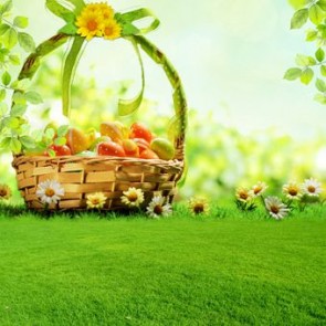 Photography Backdrops Grass Basket Eggs Sunshine Easter Background
