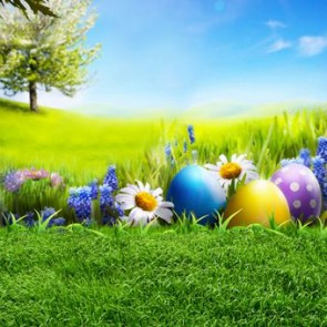 Photography Backdrops Sunshine Easter Eggs Easter Grass Background