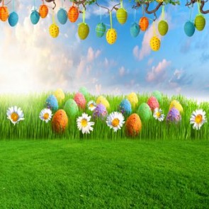 Photography Backdrops Blue Sky White Cloud Eggs Easter Grass Background