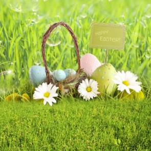 Photography Backdrops Dew Grass Easter Eggs Background For Photo Studio
